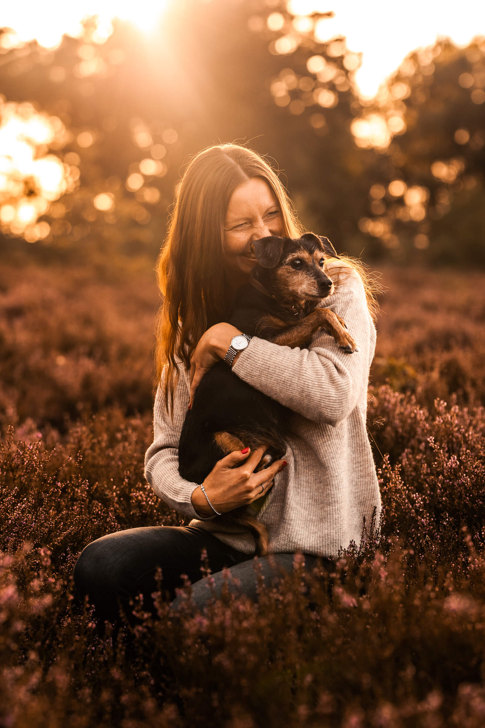 Hundefotograf buchen
