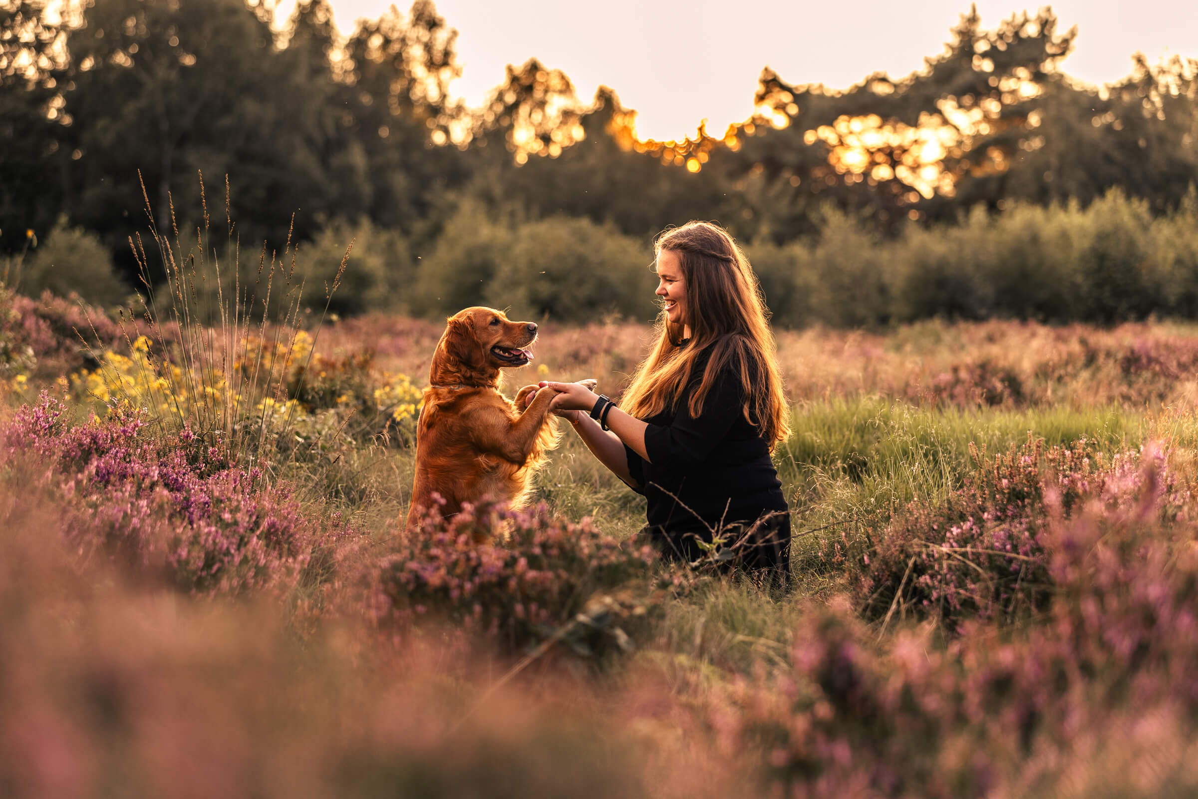 Tierfotograf Schleswig-Holstein